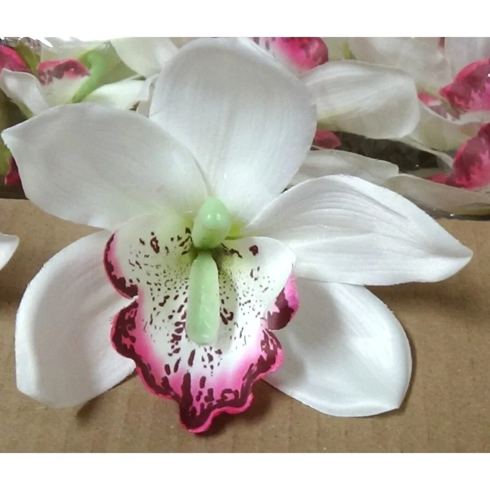 Orchid Flowers Heads 5
